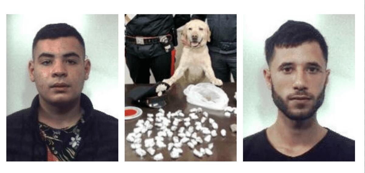 PATERNÒ: SPACCIATORE  BECCATO NUOVAMENTE CON LE MANI NEL SACCO INSIEME AD UN COMPLICE - 