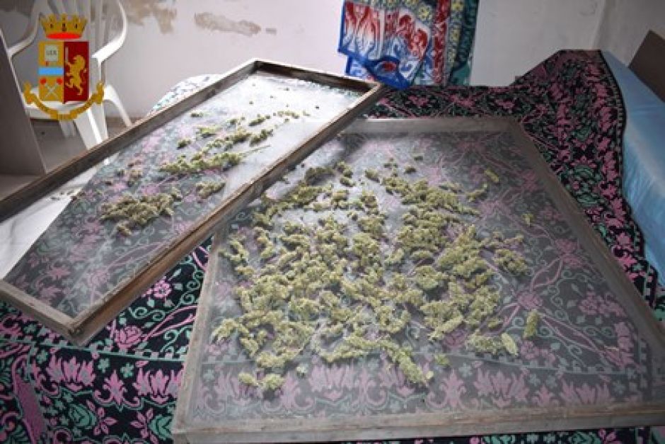 CATANIA, VACCARIZZO: VANNO NELLA LORO CASA A MARE E TROVANO UNA PIANTAGIONE DI MARIJUANA