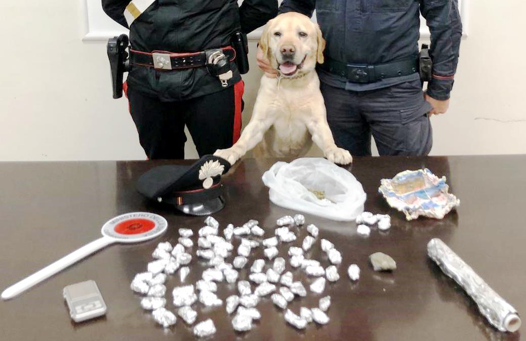 PATERNÒ: SPACCIATORE INCALLITO BECCATO NUOVAMENTE CON LE MANI NEL SACCO INSIEME AD UN COMPLICE