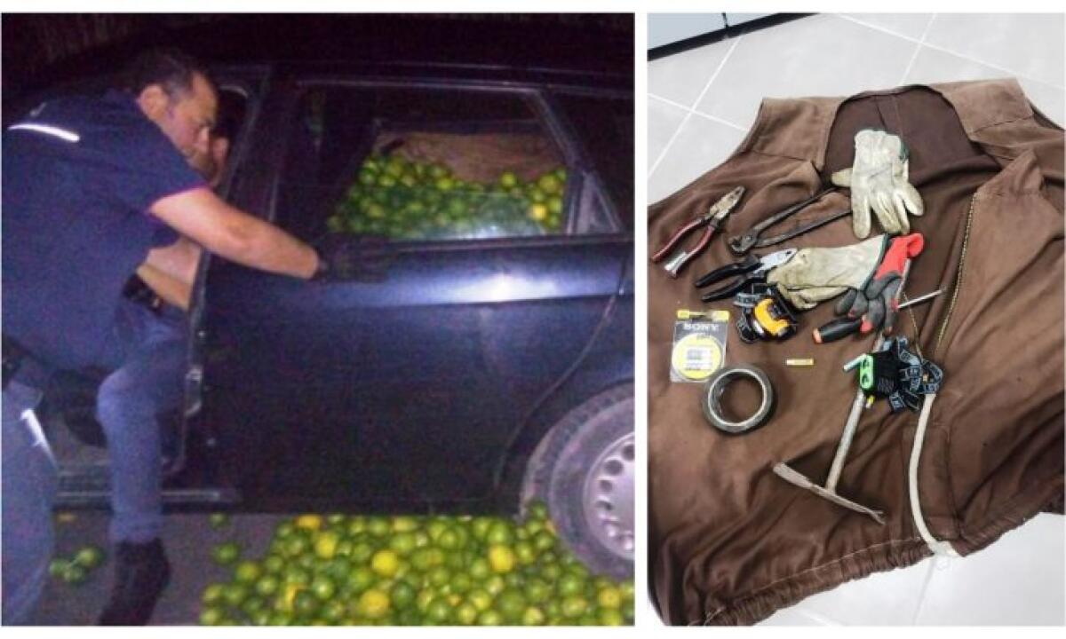 AVOLA, BLOCCATI LADRI DI LIMONI IN TRASFERTA: ARRESTATI QUATTRO CATANESI - 