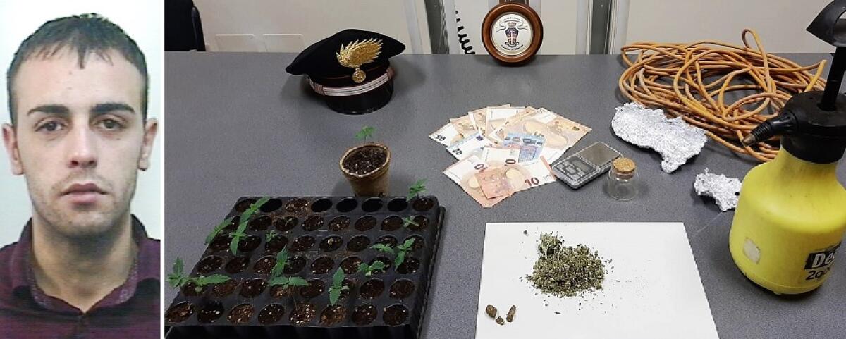 MASCALI: BUTTANO LA DROGA NEL WATER: UNO ARRESTATO, L’ALTRO DENUNCIATO - 