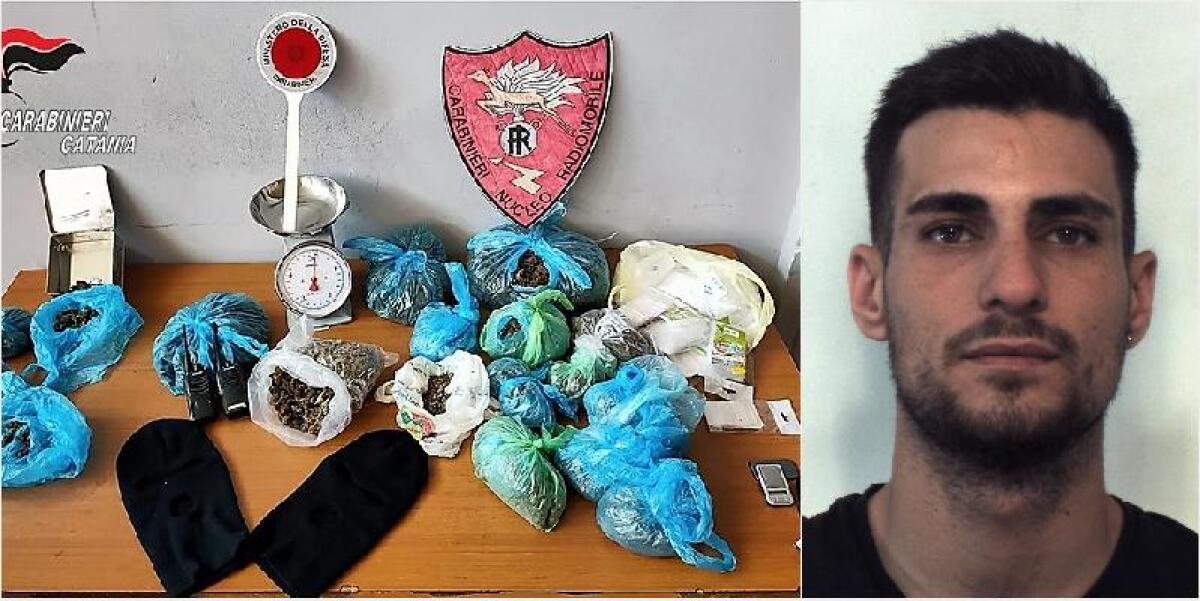 CATANIA. SEQUESTRATI 3 KG DI MARIJUANA NEL QUARTIERE GALERMO: “CUSTODE” IN MANETTE - 