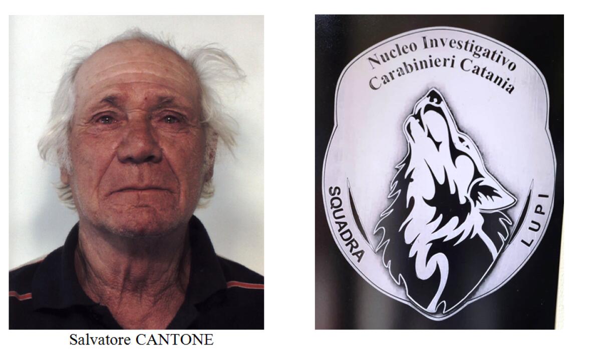 CATANIA. CATTURATO DAI LUPI UN LATITANTE CHE SI NASCONDEVA ALLA “CIVITA” - 