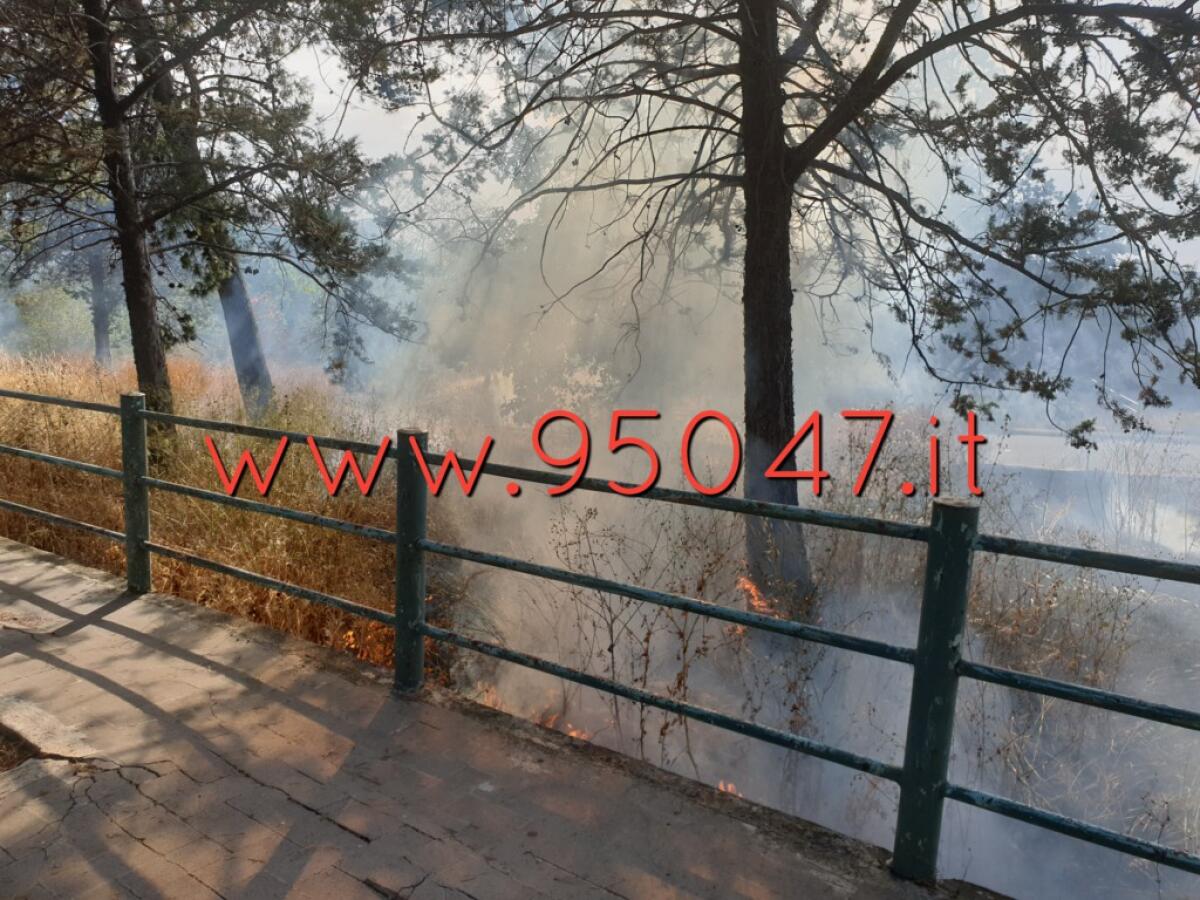 INCENDIO DI STERPAGLIE AL CORSO DEL POPOLO - 