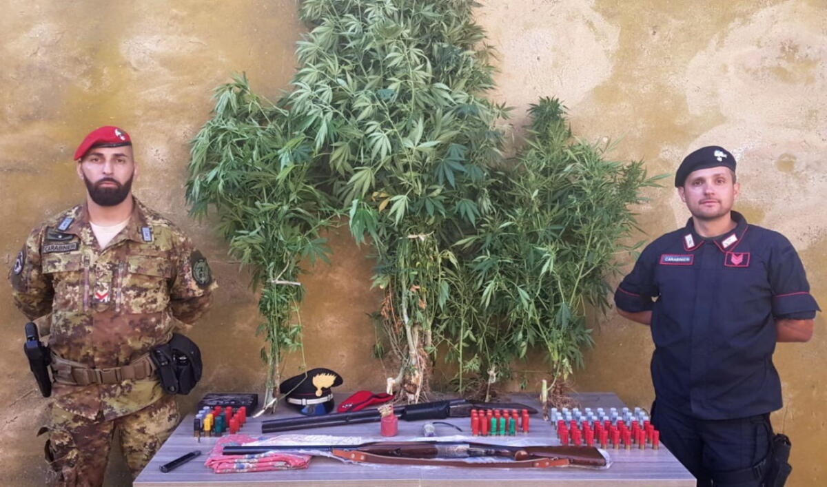 CALTAGIRONE (CT). NASCONDEVA ARMI, ESPLOSIVO E DROGA NEL CASOLARE: ARRESTATO - 