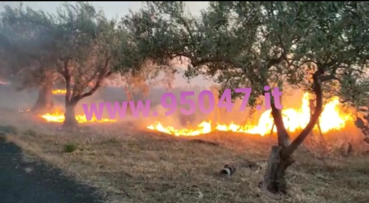 INCENDIO DI STERPAGLIE VICINO ALLE CASE, PAURA IN CONTRADA PALAZZOLO - 