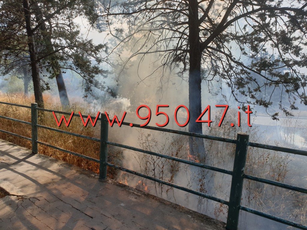 INCENDIO DI STERPAGLIE AL CORSO DEL POPOLO