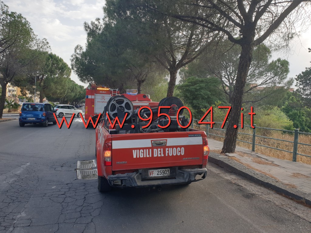 INCENDIO DI STERPAGLIE AL CORSO DEL POPOLO