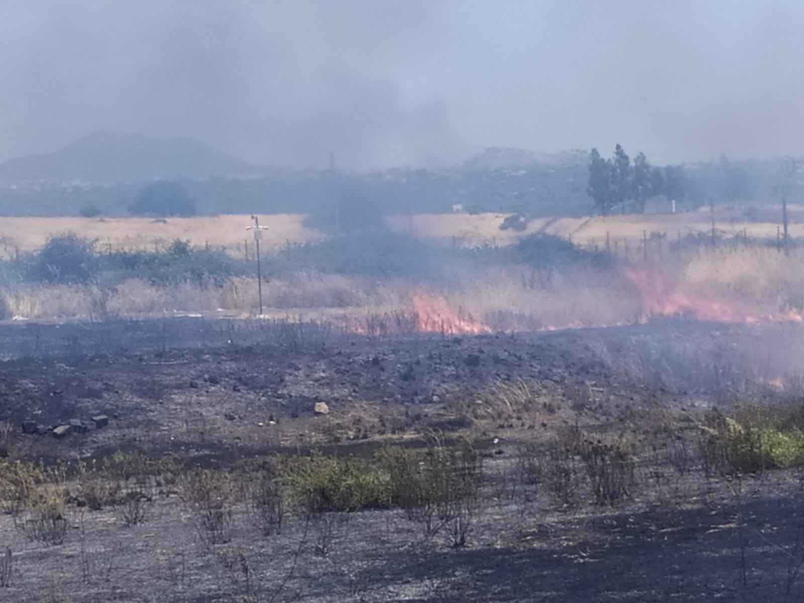 SS121: INCENDIO STERPAGLIE NEI PRESSI DEL RIFORNIMENTO