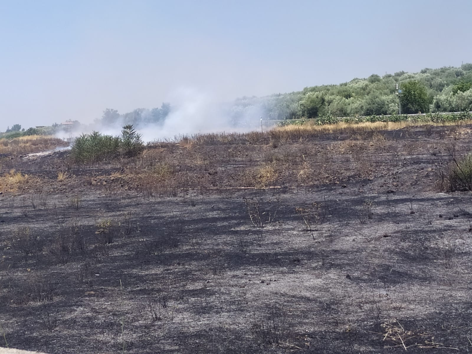 SS121: INCENDIO STERPAGLIE NEI PRESSI DEL RIFORNIMENTO