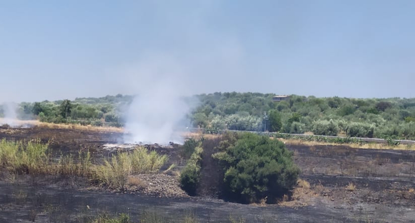 SS121: INCENDIO STERPAGLIE NEI PRESSI DEL RIFORNIMENTO