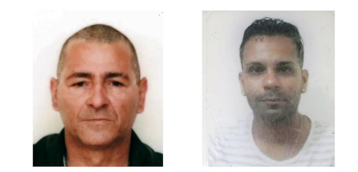 NICOLOSI, “ERAVAMO ALLA RICERCA DI FUNGHI” INVECE AVEVANO SVALIGIATO UNA VILLA  DI FUNGHI - 