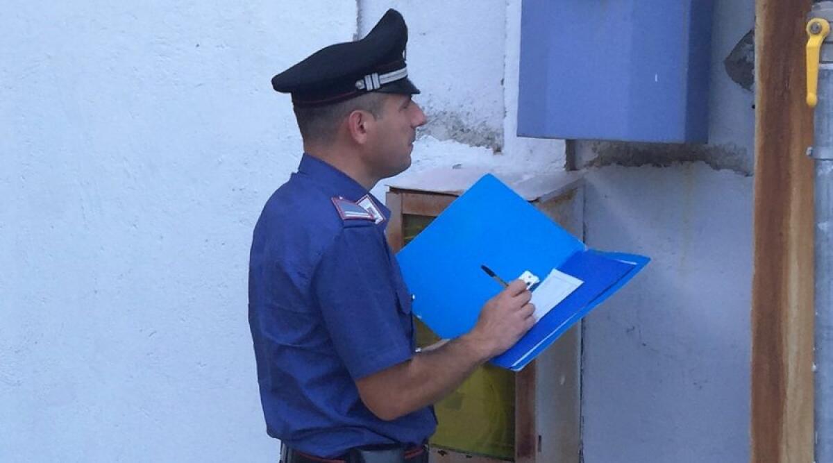 MALETTO, RUBAVA GAS PER CONTO DELLA NONNA DECEDUTA - 