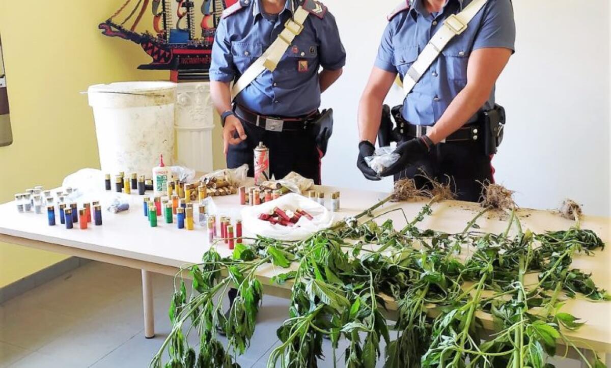 MANIACE: COLTIVAVA DROGA E SOTTERRAVA MUNIZIONI: DENUNCIATO - 