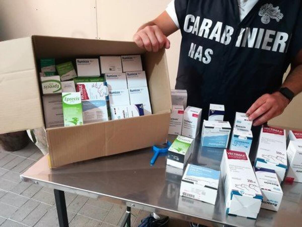 CATANIA: VENDEVA FARMACI SOTTOBANCO, DENUNCIATO VETERINARIO - 