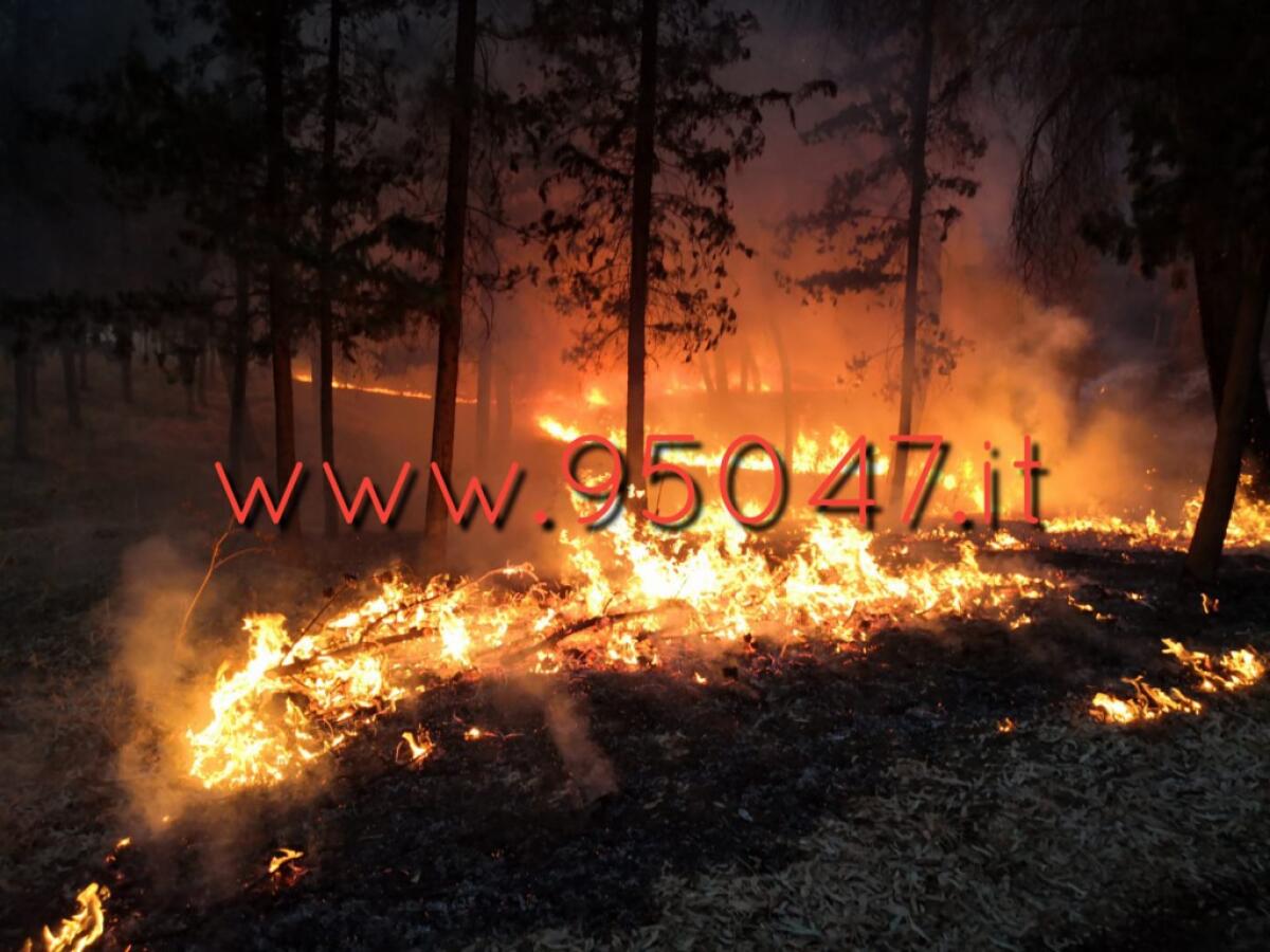 PATERNO’: GIORNATA DI INCENDI, IN FUMO IL BOSCHETTO IN VIA VERGA LE FOTO - 