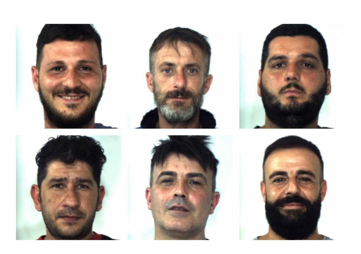 NELL'AUTO 3 TONNELLATE D'UVA RUBATA DA UN VIGNETO, 6 ARRESTI - 