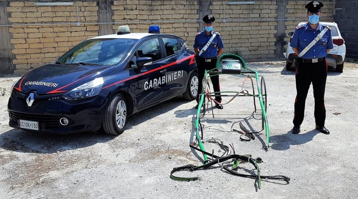 CARABINIERI INTERROMPONO UNA CORSA CLANDESTINA DI CAVALLI: DENUNCIATI 16 PERSONE - 