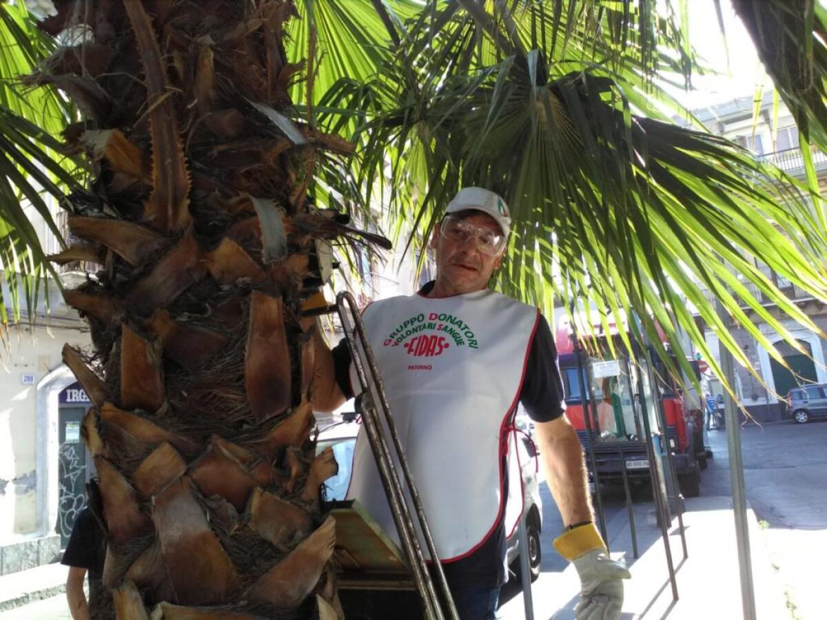 CONTINUA LA COLLABORAZIONE DEL GDVS CON IL COMUNE DI PATERNÒ - 