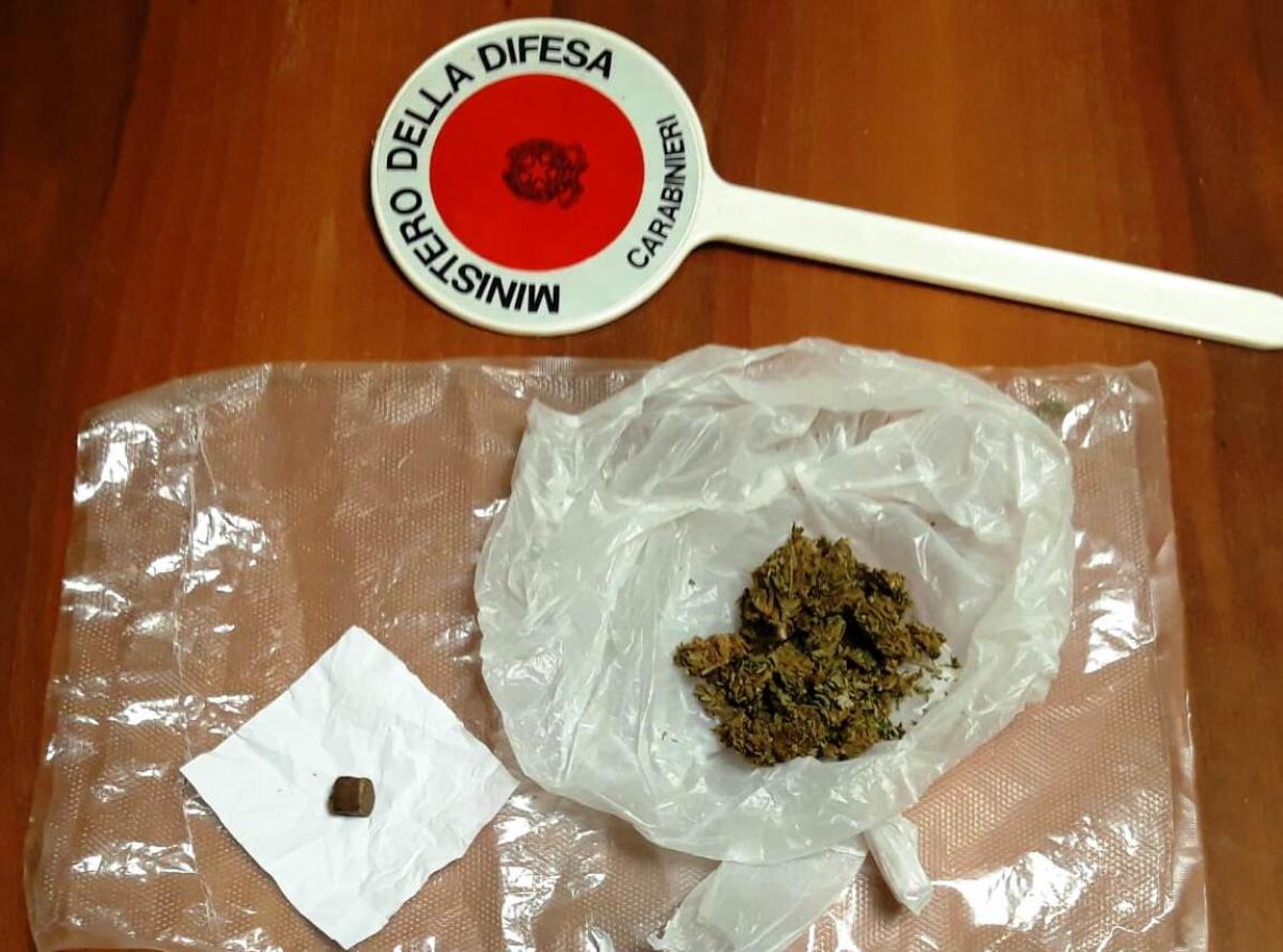 CALTAGIRONE: IL CANE CARABINIERE “ZERO” FIUTA LA DROGA, ARRESTATO - 