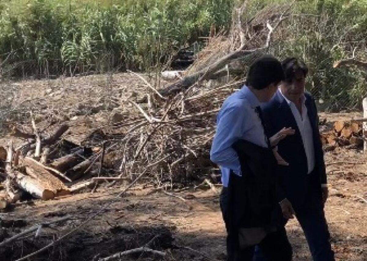 BOSCHETTO DELLA PLAYA, ONLINE LE DOMANDE PER IL PRELIEVO GRATUITO DEL LEGNAME DA POTATURE - 