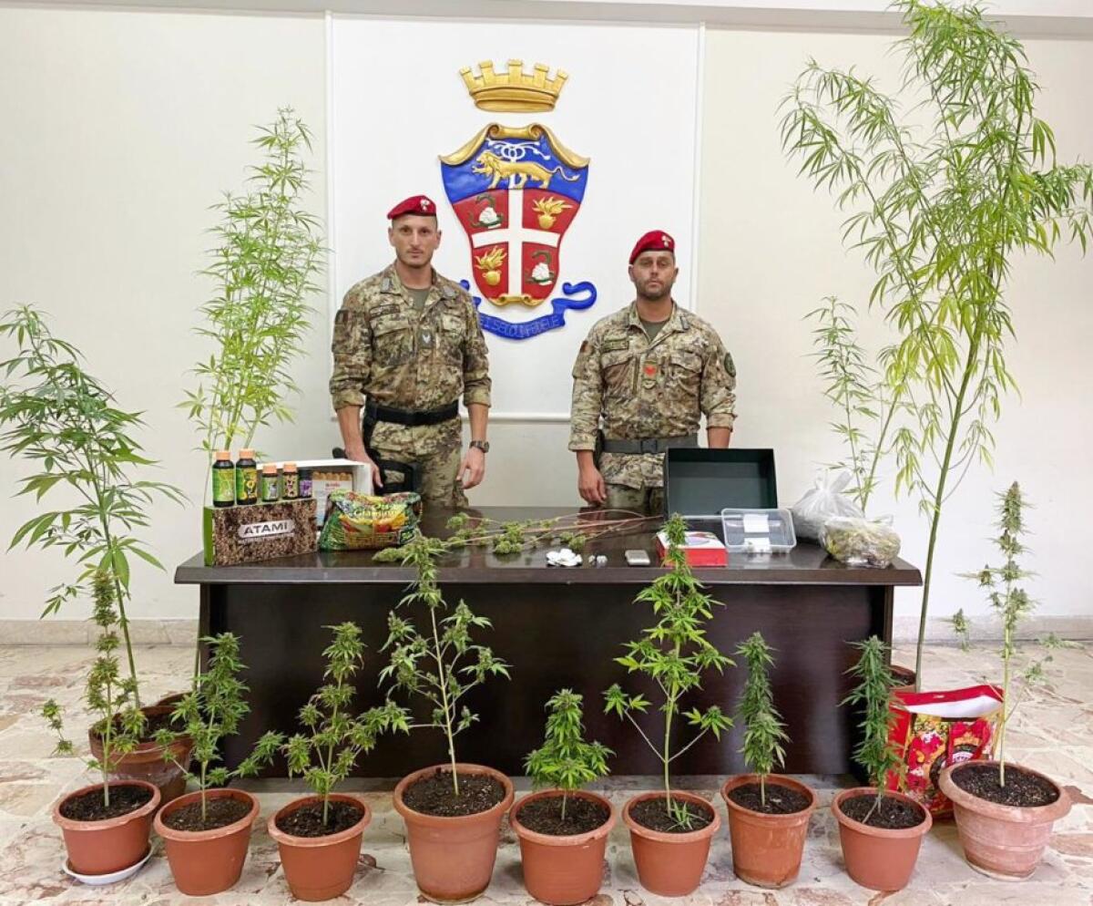 PATERNÒ: UN TERRAZZO CON VISTA “STUPEFACENTE”. ARRESTATO 23 ENNE - 