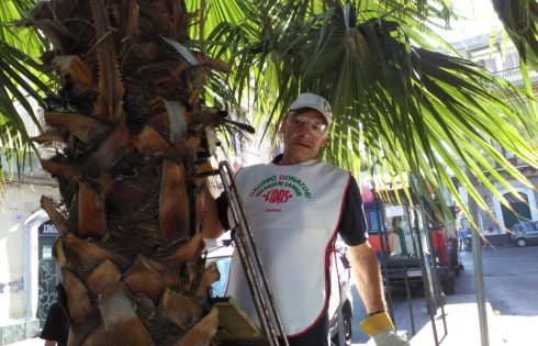 CONTINUA LA COLLABORAZIONE DEL GDVS CON IL COMUNE DI PATERNÒ