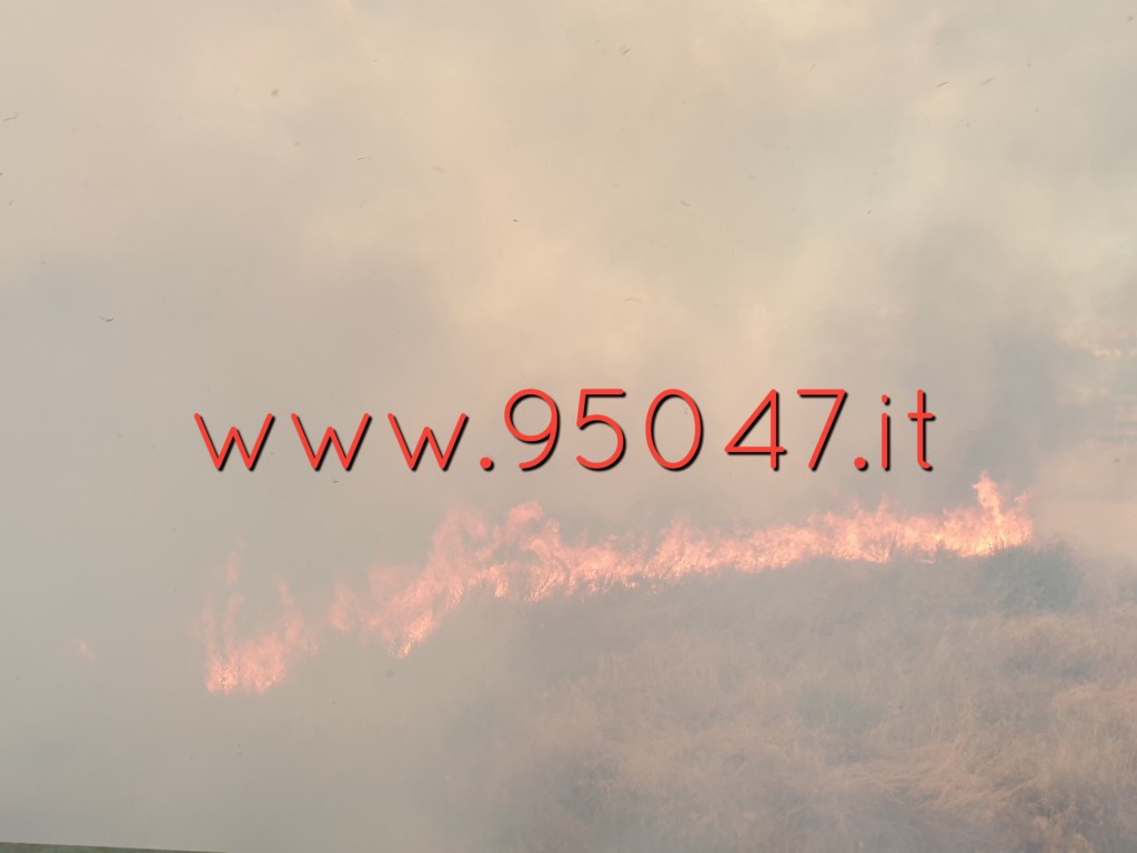 PATERNÒ: VASTO INCENDIO DI STERPAGLIE VICINO AL CORSO ITALIA