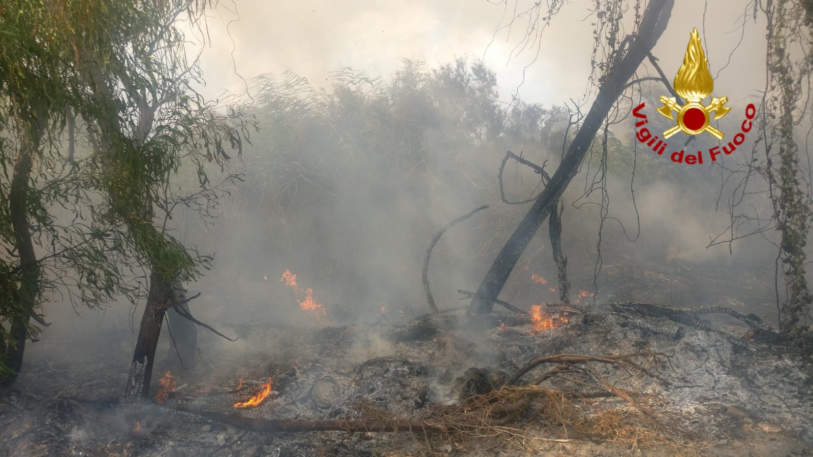 CATANIA, VASTO INCENDIO IN ZONA AEROPORTO