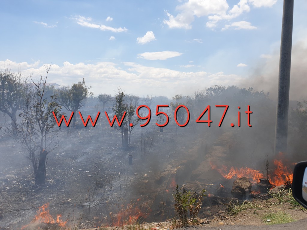 INCENDIO IN CONTRADA GIACONIA: STERPAGLIE IN FIAMME, PAURA PER LE ABITAZIONI