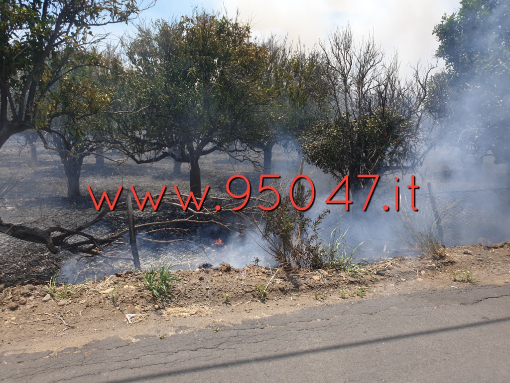 STERPAGLIE IN FIAMME IN CONTRADA GIACONIA, PAURA PER LE ABITAZIONI