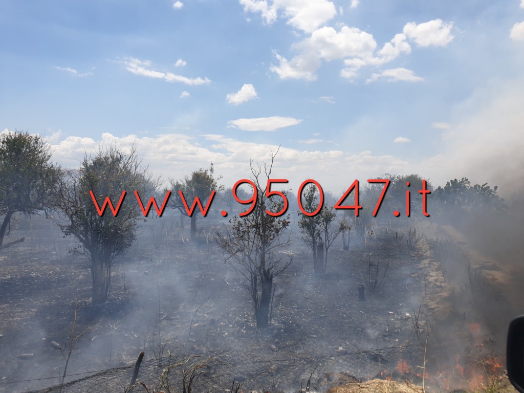 INCENDIO IN CONTRADA GIACONIA: STERPAGLIE IN FIAMME, PAURA PER LE ABITAZIONI