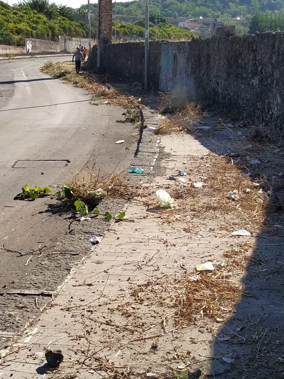 PATERNO’. PULIZIA STRADE, DIVIETI IGNORATI: DIECI MULTE  E DUE RIMOZIONI