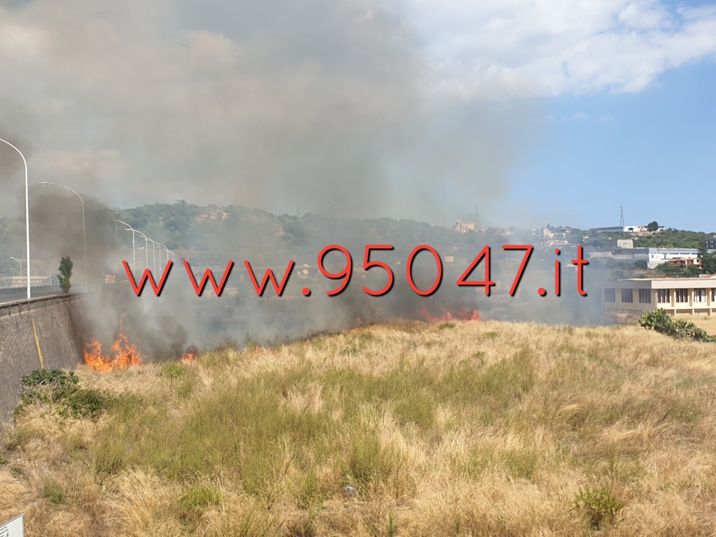 PATERNÒ: VASTO INCENDIO DI STERPAGLIE VICINO AL CORSO ITALIA