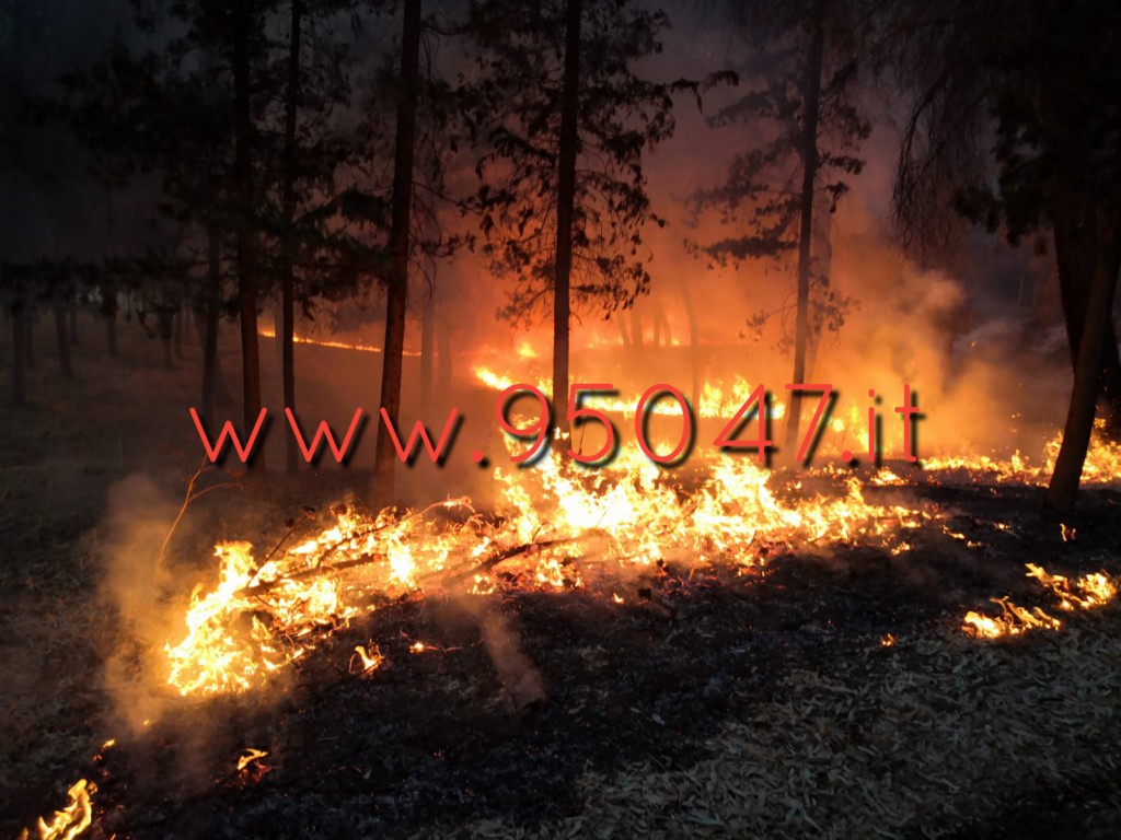 PATERNO’: GIORNATA DI INCENDI, IN FUMO IL BOSCHETTO IN VIA VERGA LE FOTO