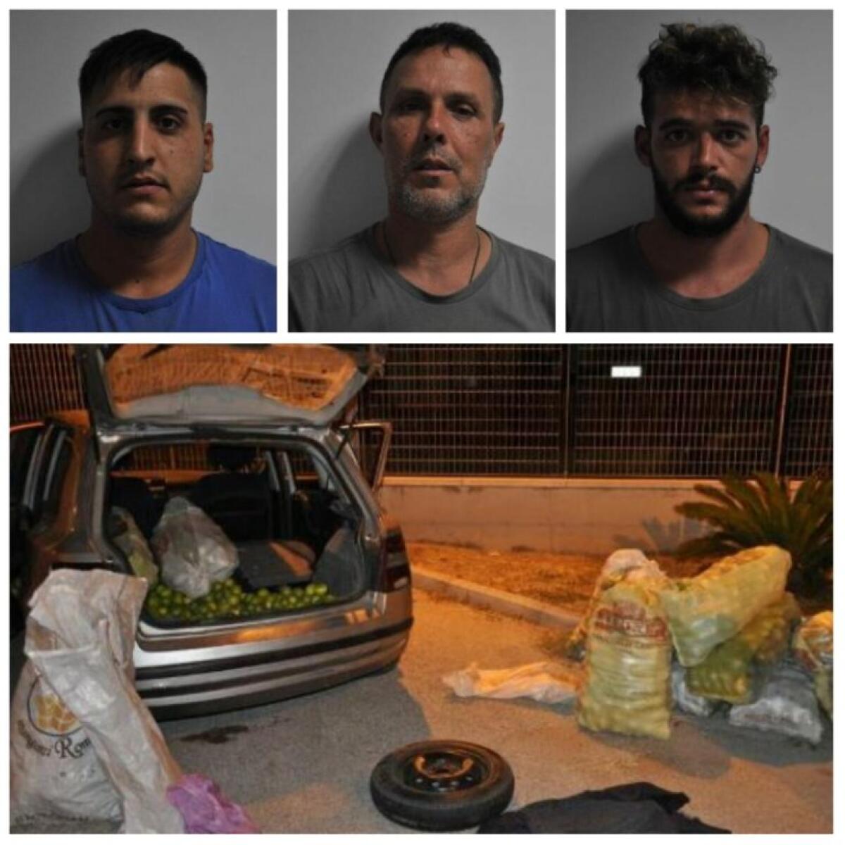 AVOLA.LA POLIZIA ARRESTA TRE CATANESI CON 900 KG DI LIMONI - 