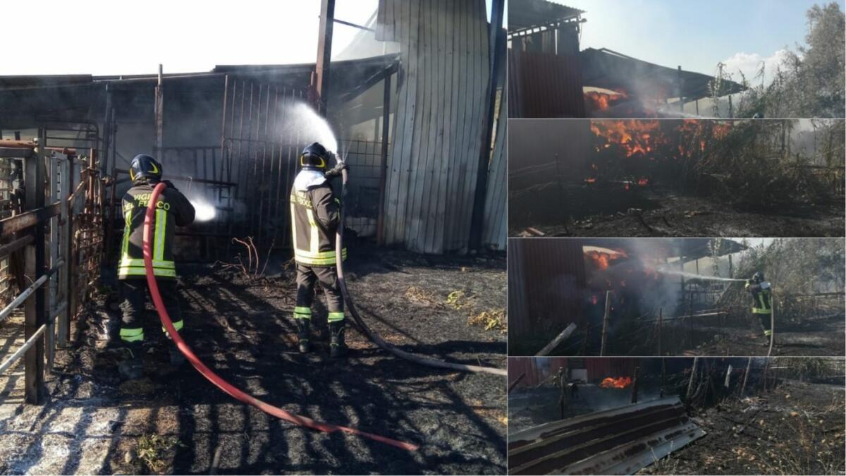 PATERNÒ, VASTO INCENDIO ALL'INTERNO DI UN FIENILE - 