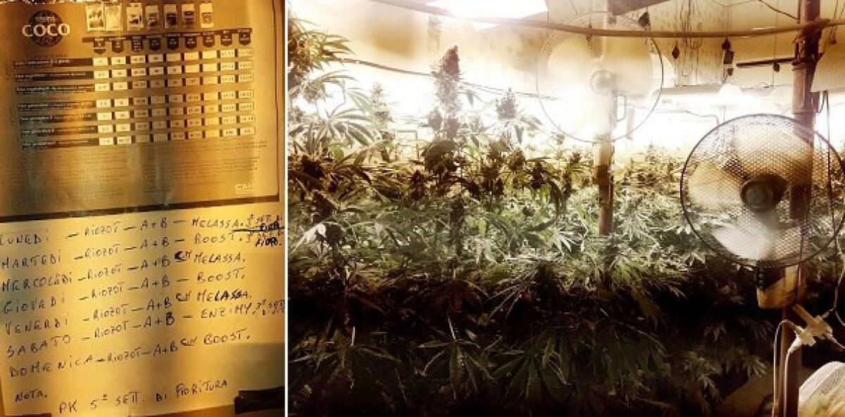 CATANIA: PIANO SUPERIORE AL VILLAGGIO AZZURRO  CON VISTA “ERBA”, ARRESTATO - 