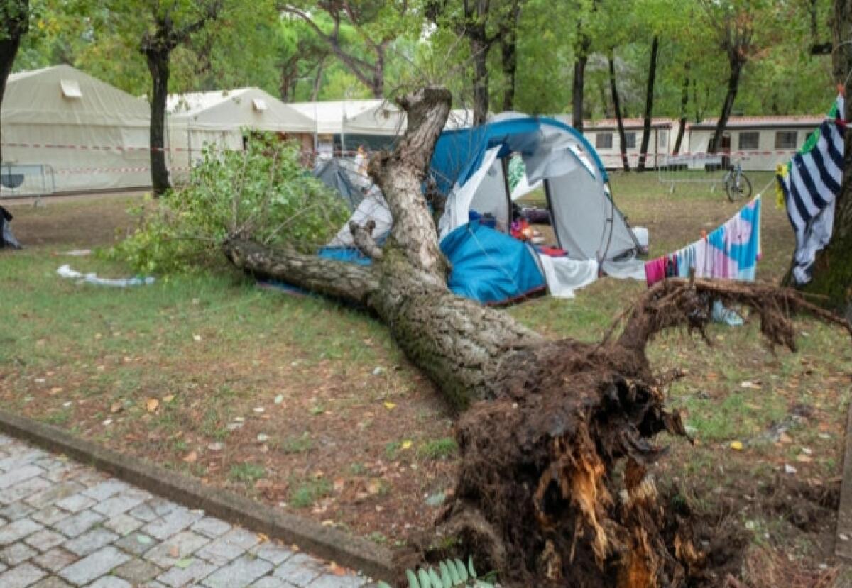 MALTEMPO, UN ALBERO HA SCHIACCIATO UNA TENDA DA CAMPEGGIO A MASSA. MORTE DUE SORELLINE - 