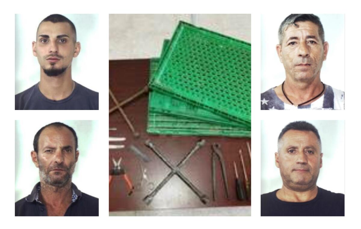 LICODIA EUBEA, LADRI DI UVA PROVENIENTI DA CATANIA ARRESTATI - 