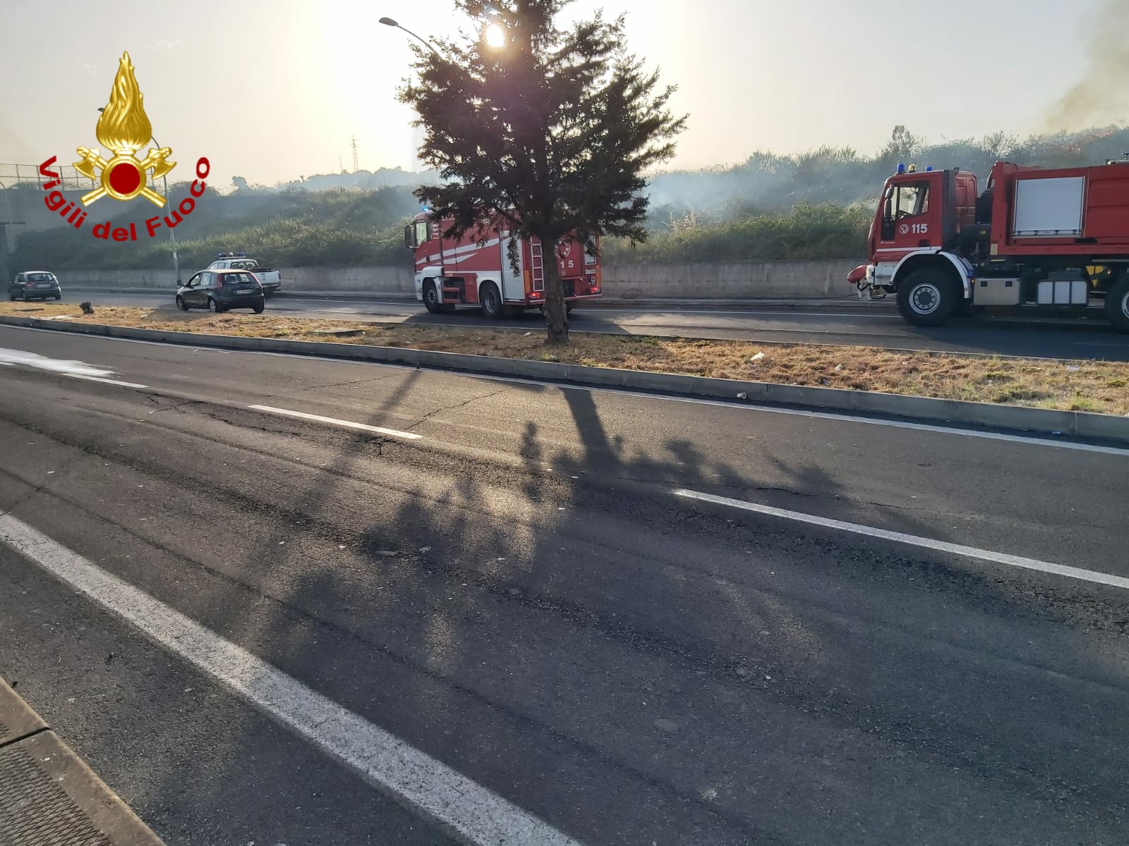 INCENDIO DI MACCHIA MEDITERRANEA A S. GIORGIO