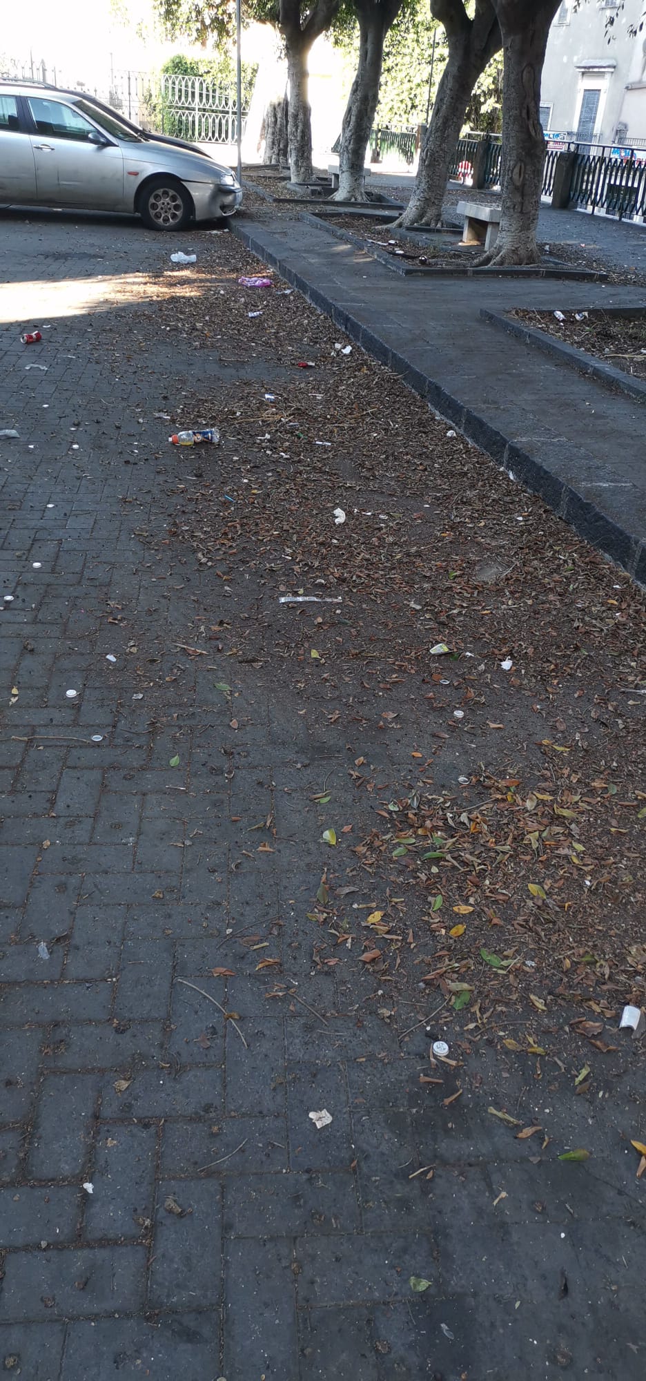 PATERNO’. PULIZIA STRADE, DIVIETI IGNORATI: VENTI MULTE E CINQUE RIMOZIONI