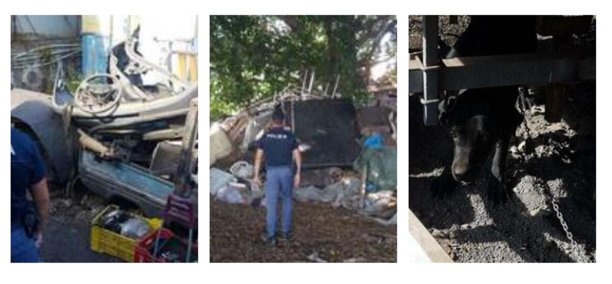 CANI SOFFERENTI E TONNELLATE DI RIFIUTI PERICOLOSI IN RIMESSA ABUSIVA A CATANIA, DENUNCIATI - 