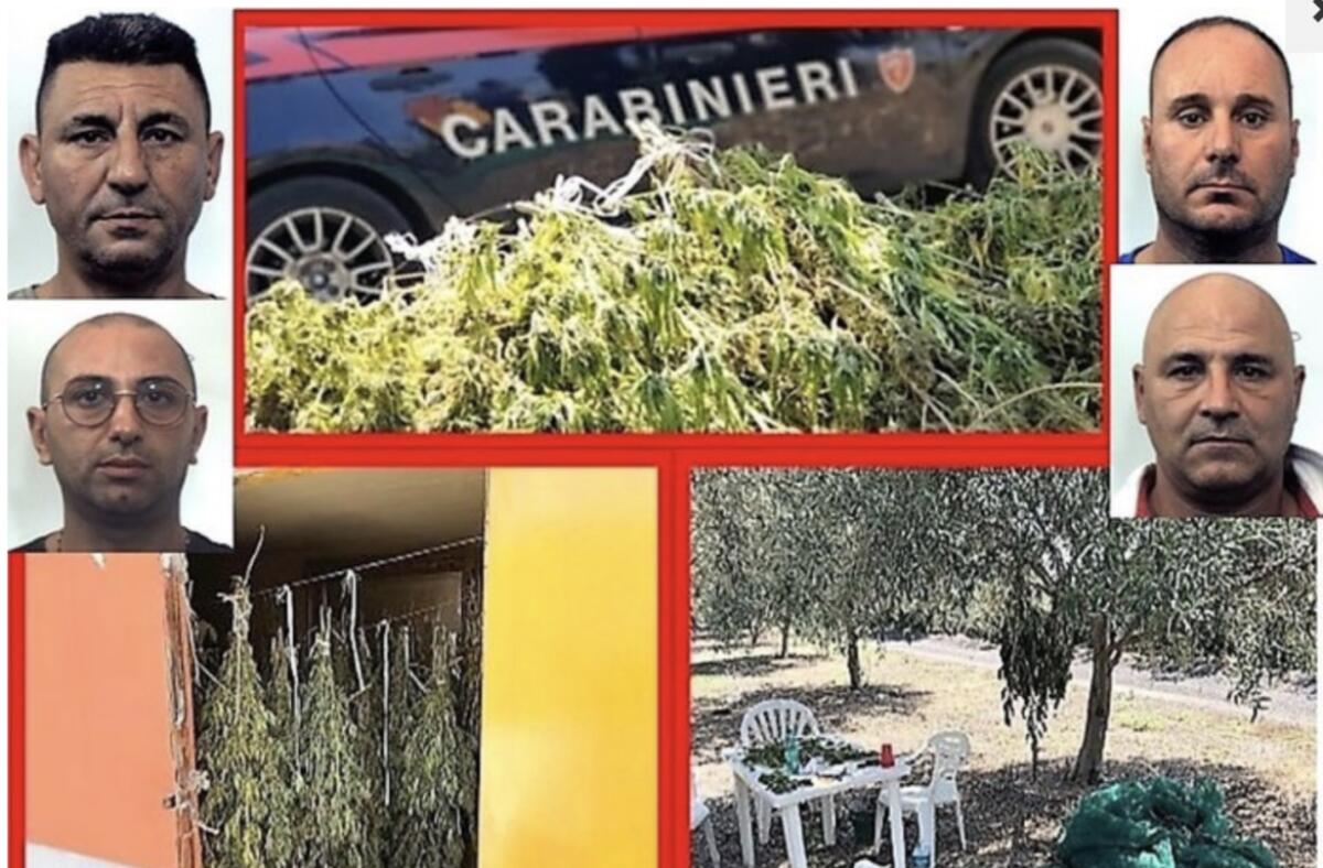 BLITZ A PATERNÒ, SEQUESTRATI 70 KG DI MARIJUANA, 4 ARRESTATI - 