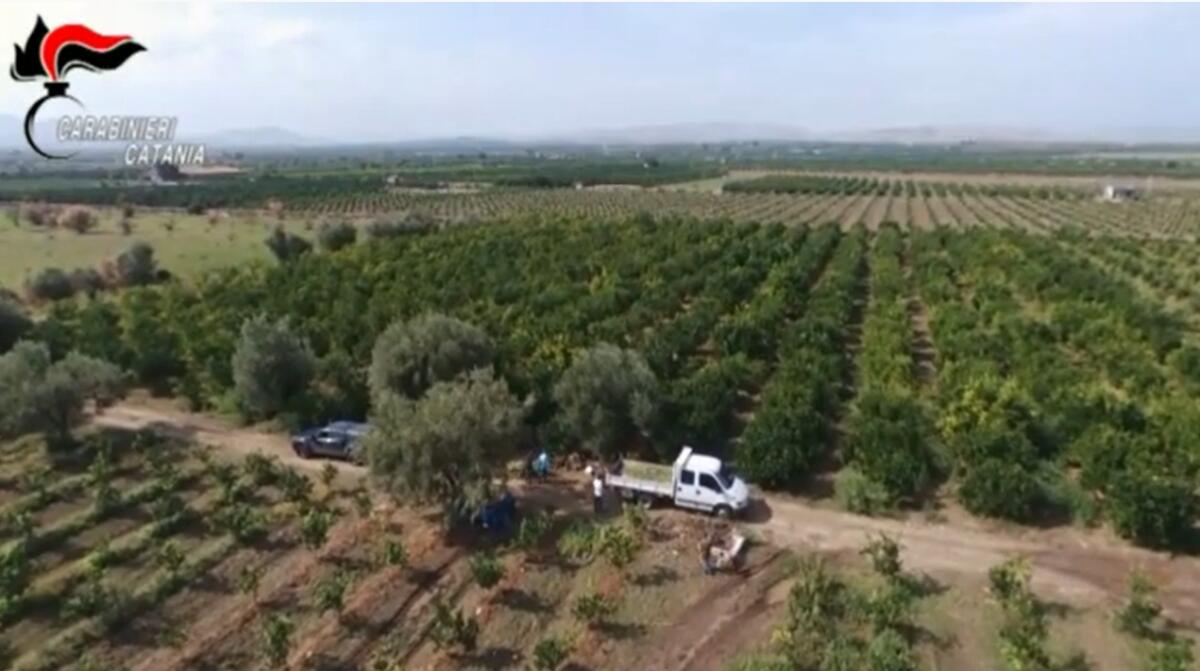 IL VIDEO DEL MAXI SEQUESTRO - 