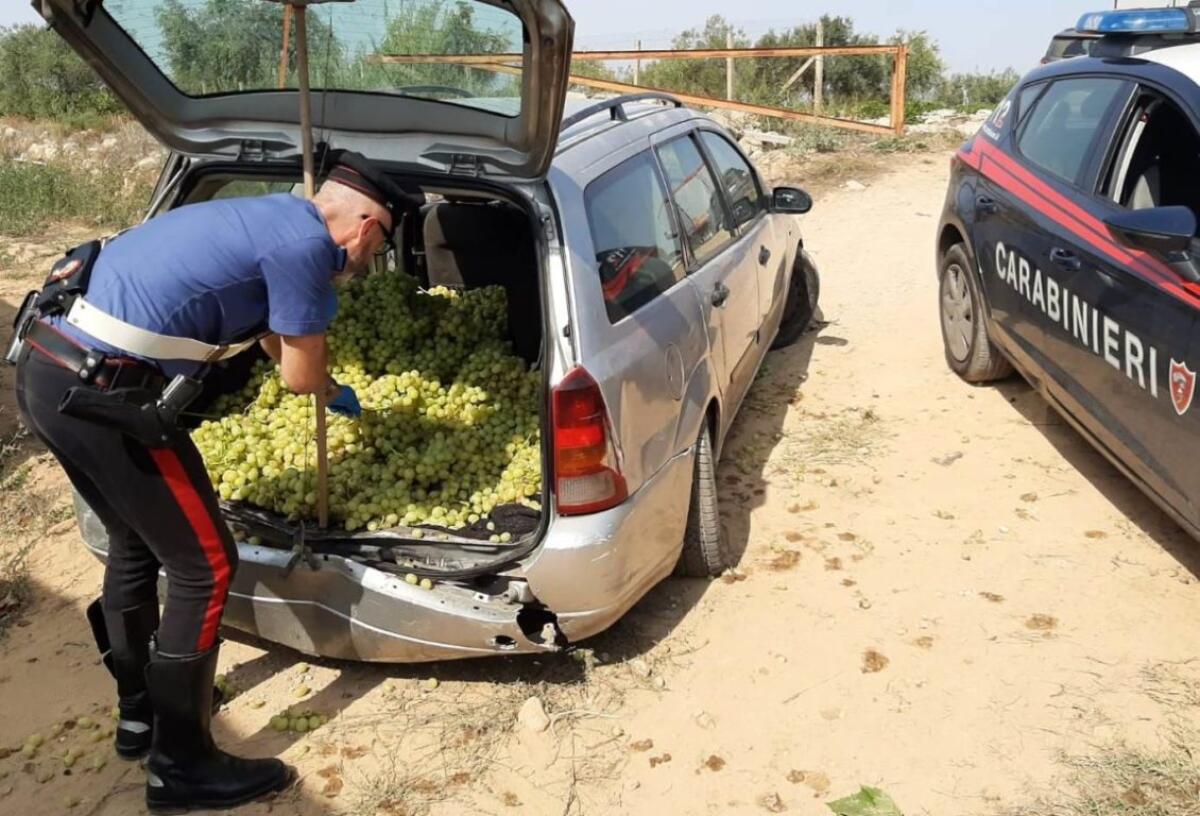 RUBANO 80 KG  E L'AUTOMOBILE "NON PARTE" PER IL PESO - 