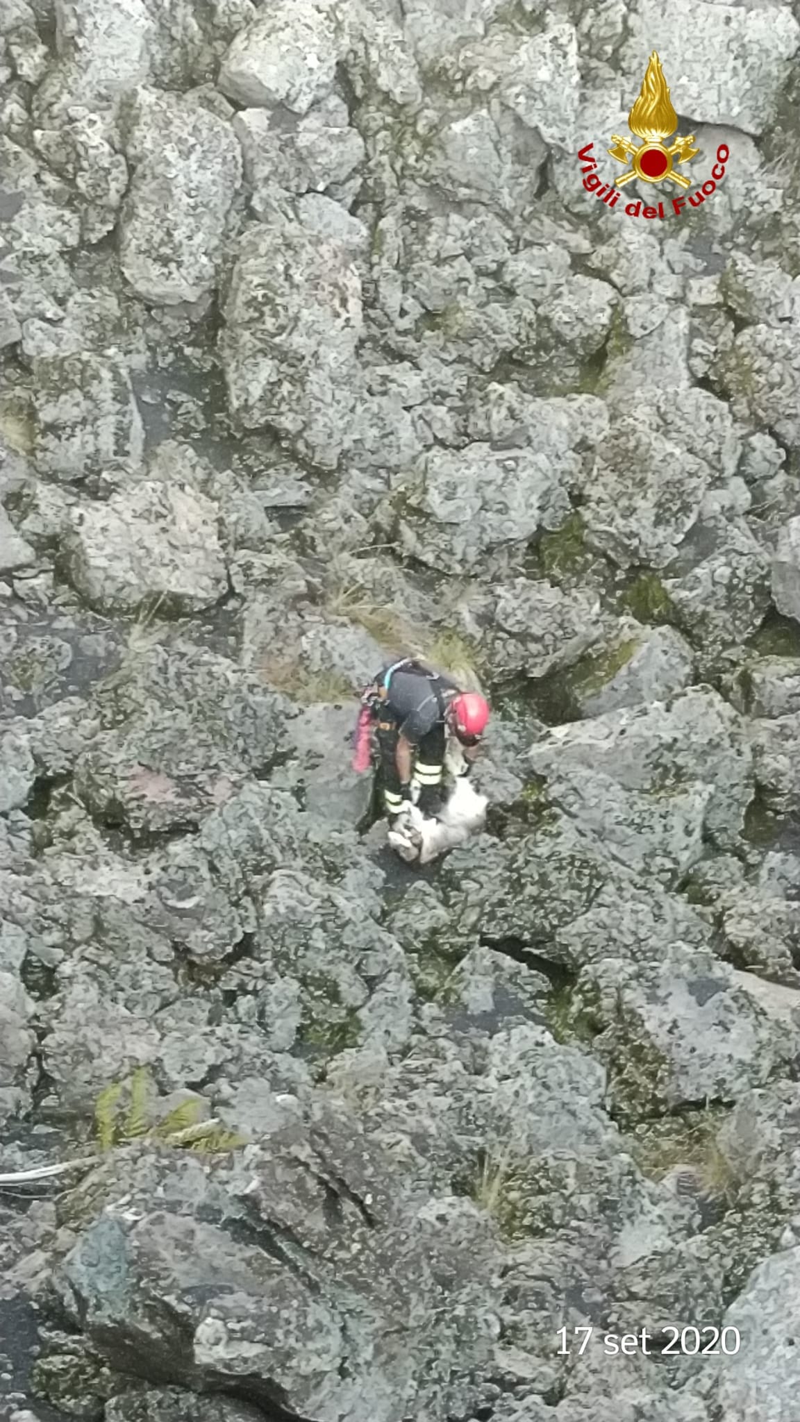 BRONTE: CAPRETTE CADUTE IN UNA VORAGINE SALVATE DAI VIGILI DEL FUOCO