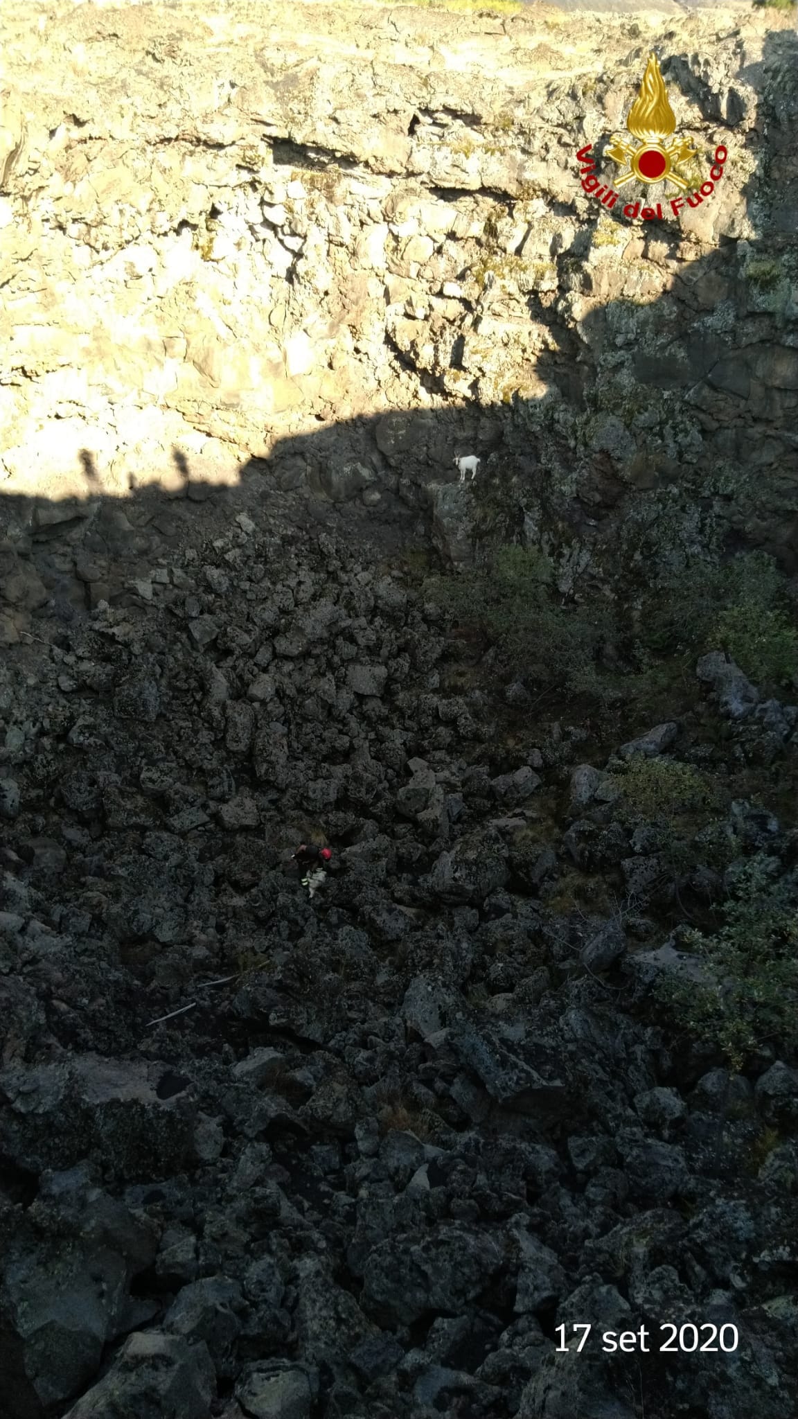 BRONTE: CAPRETTE CADUTE IN UNA VORAGINE SALVATE DAI VIGILI DEL FUOCO