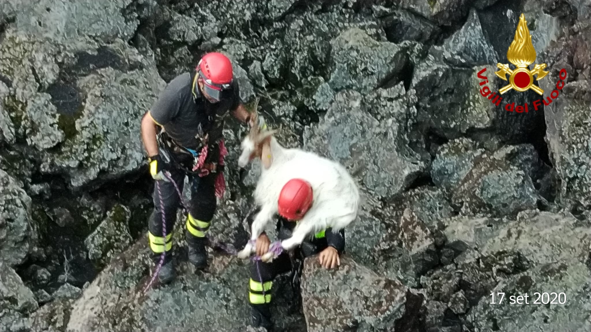 BRONTE: CAPRETTE CADUTE IN UNA VORAGINE SALVATE DAI VIGILI DEL FUOCO