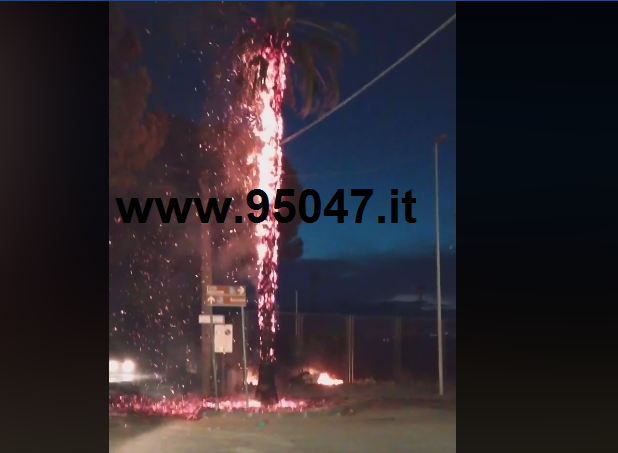 INCENDIATA UNA PALMA ALLE SALINELLE, BLACK OUT NELLA ZONA